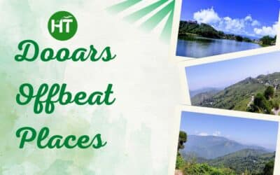 9+ Must Visit Dooars Offbeat Places: Heaven for Naturalist