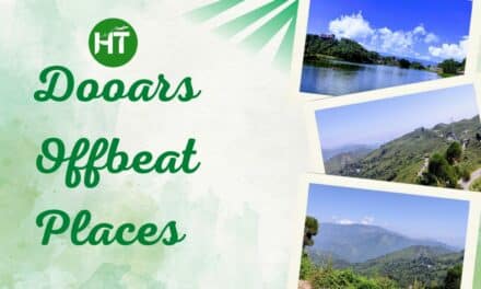 9+ Must Visit Dooars Offbeat Places: Heaven for Naturalist