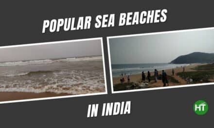 How 9+ Popular Sea Beaches in India Experience Huge Tourists