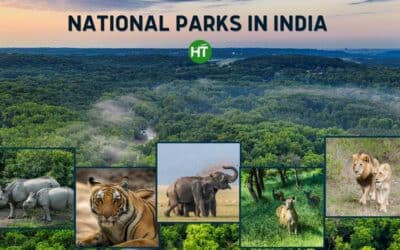 7+ Most Popular National Parks in India Everyone Must Visit