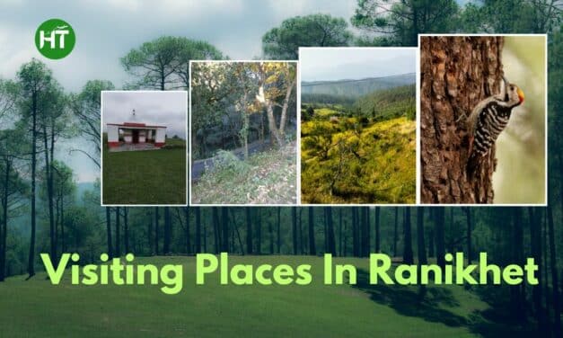 11+ Blissful Visiting Places In Ranikhet You Must Explore