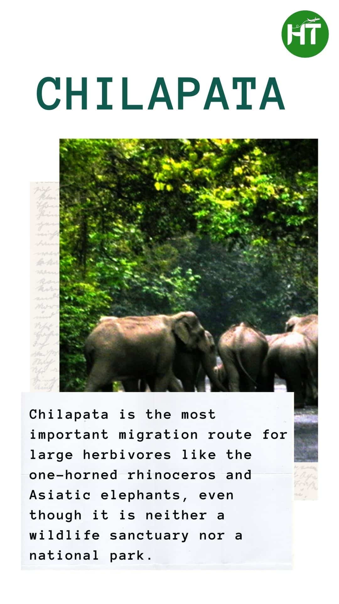 Dooars Offbeat Places - chilapata