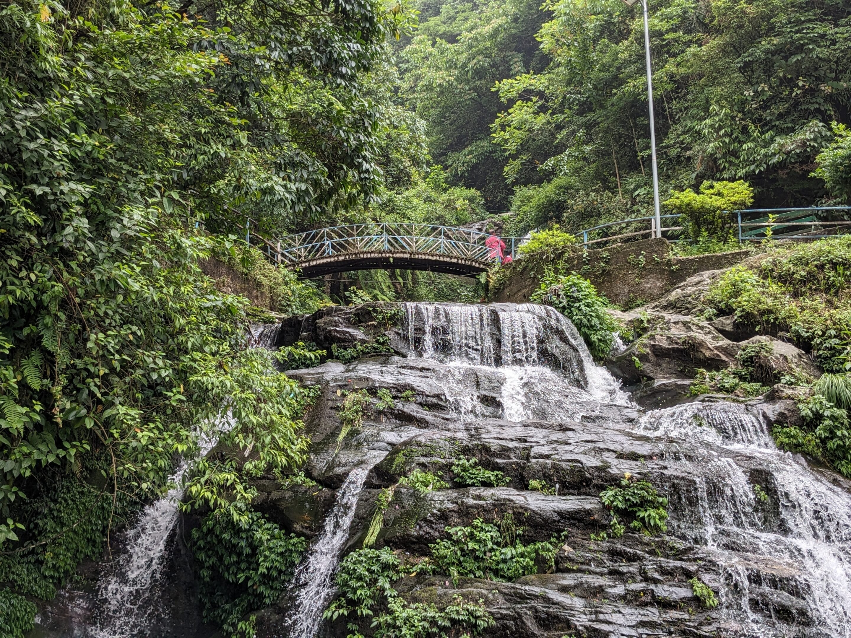 Rock Garden - Darjeeling Budget Travel Guide