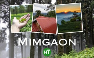 Mimgaon – 100% Incredible North Bengal Offbeat Destination – Hungry Tourer
