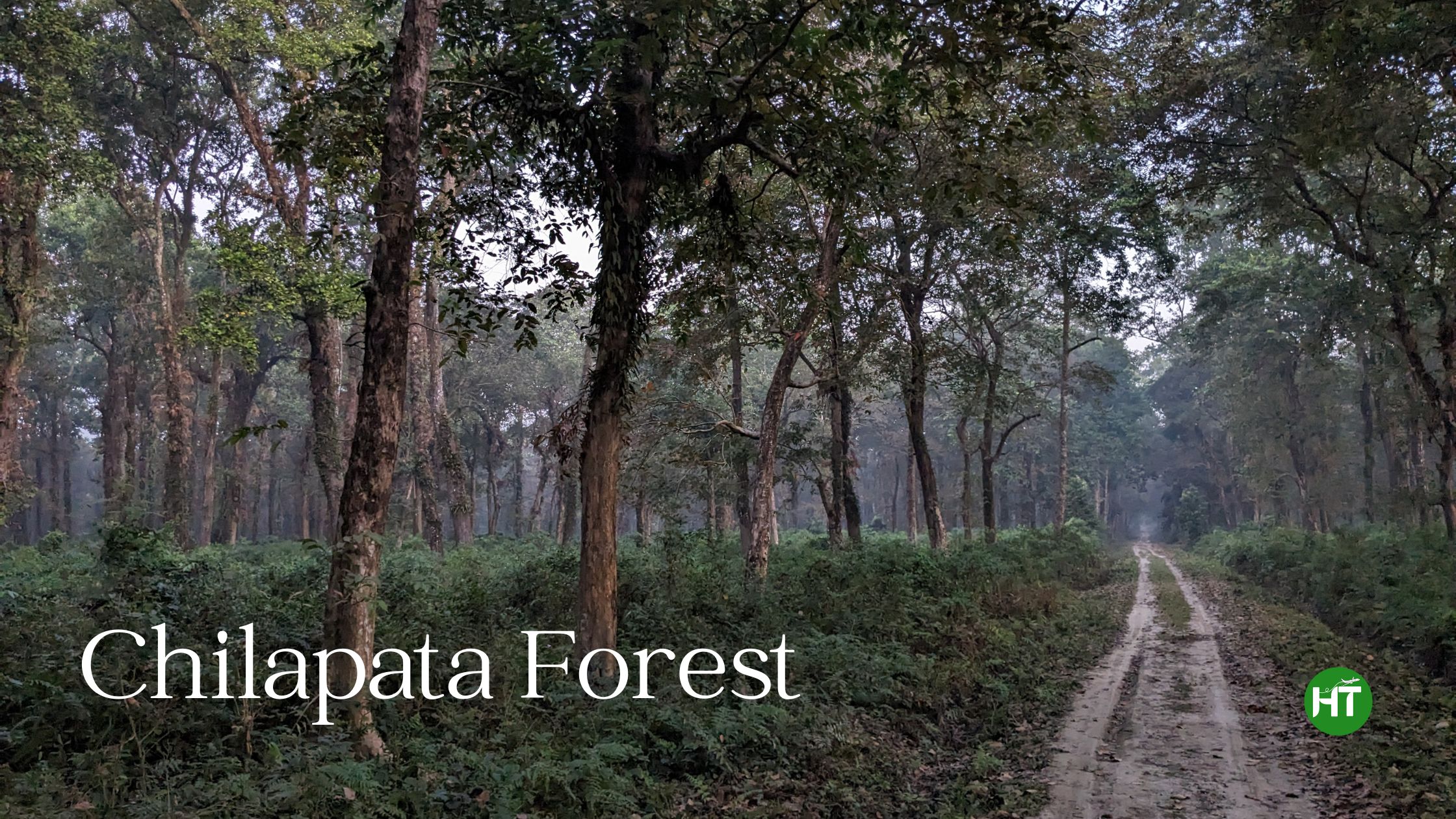Chilapata forest