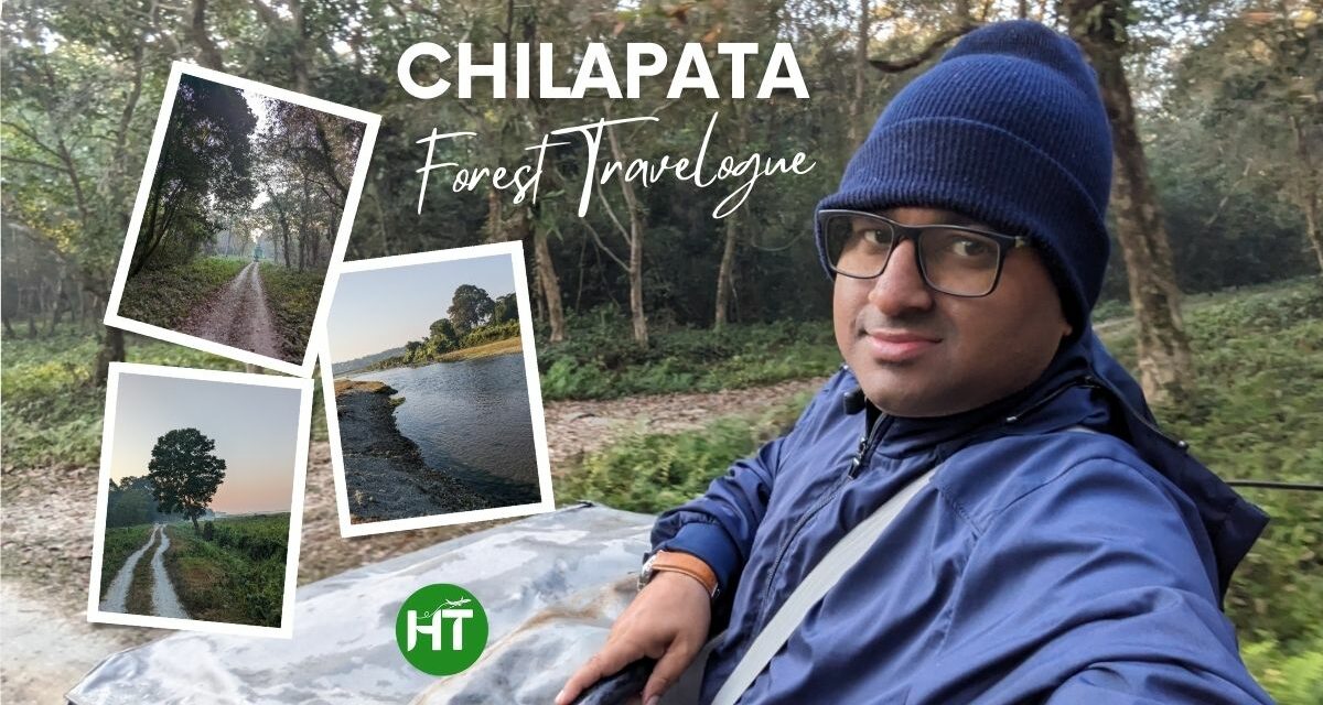 Chilapata Forest Travelogue: Beauty of Woodland with Thrills