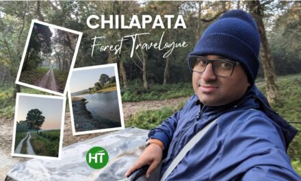 Chilapata Forest Travelogue: Beauty of Woodland with Thrills