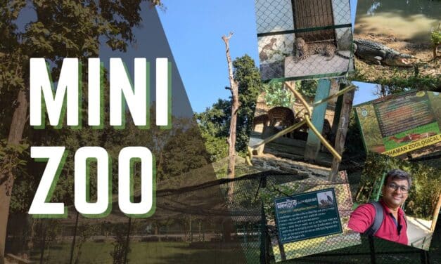 Mini Zoo: Newly Discovered 100% Offbeat Weekend Destination